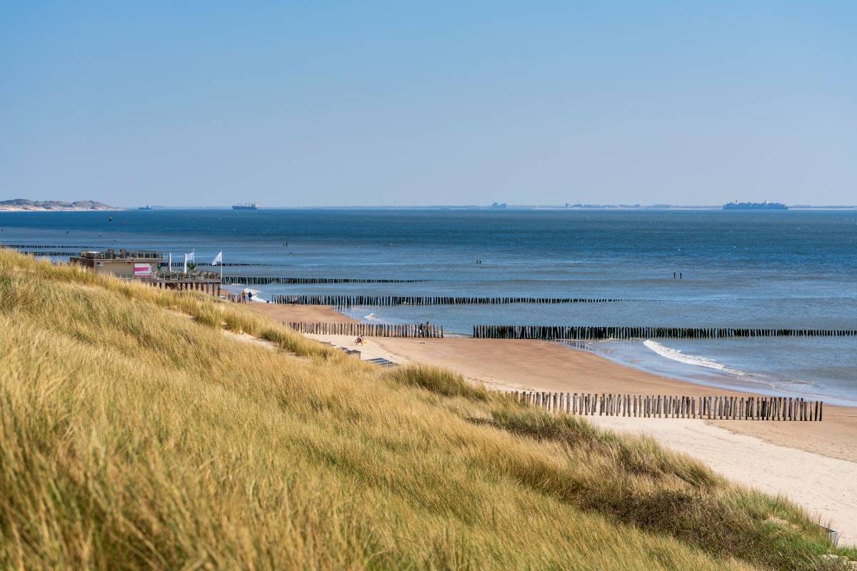 website ontwikkeling zeeland door zeeuws web